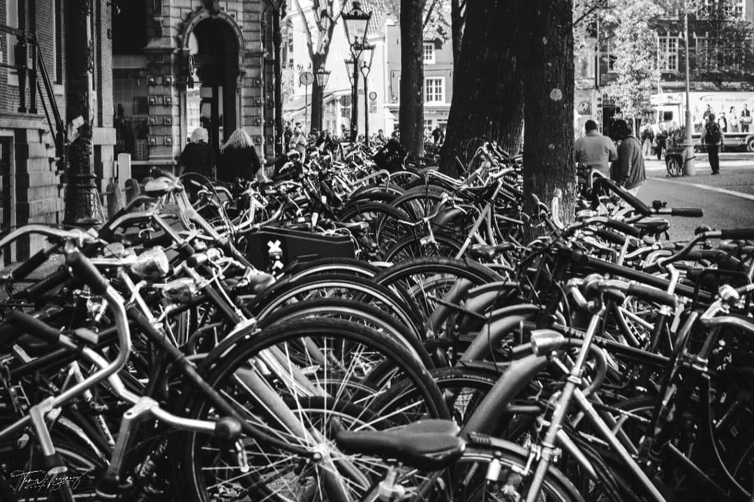 Amsterdam’s bicycle culture 